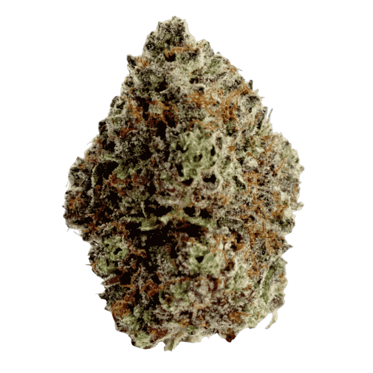 strawberry custard strain