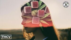 what do thcv gummies feel like