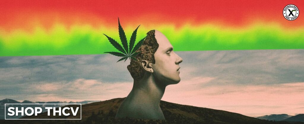 what is thcv - products and formula