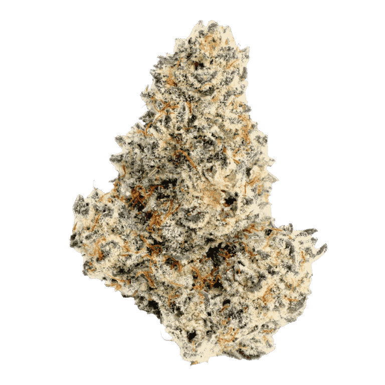 white boy cookies thca flower