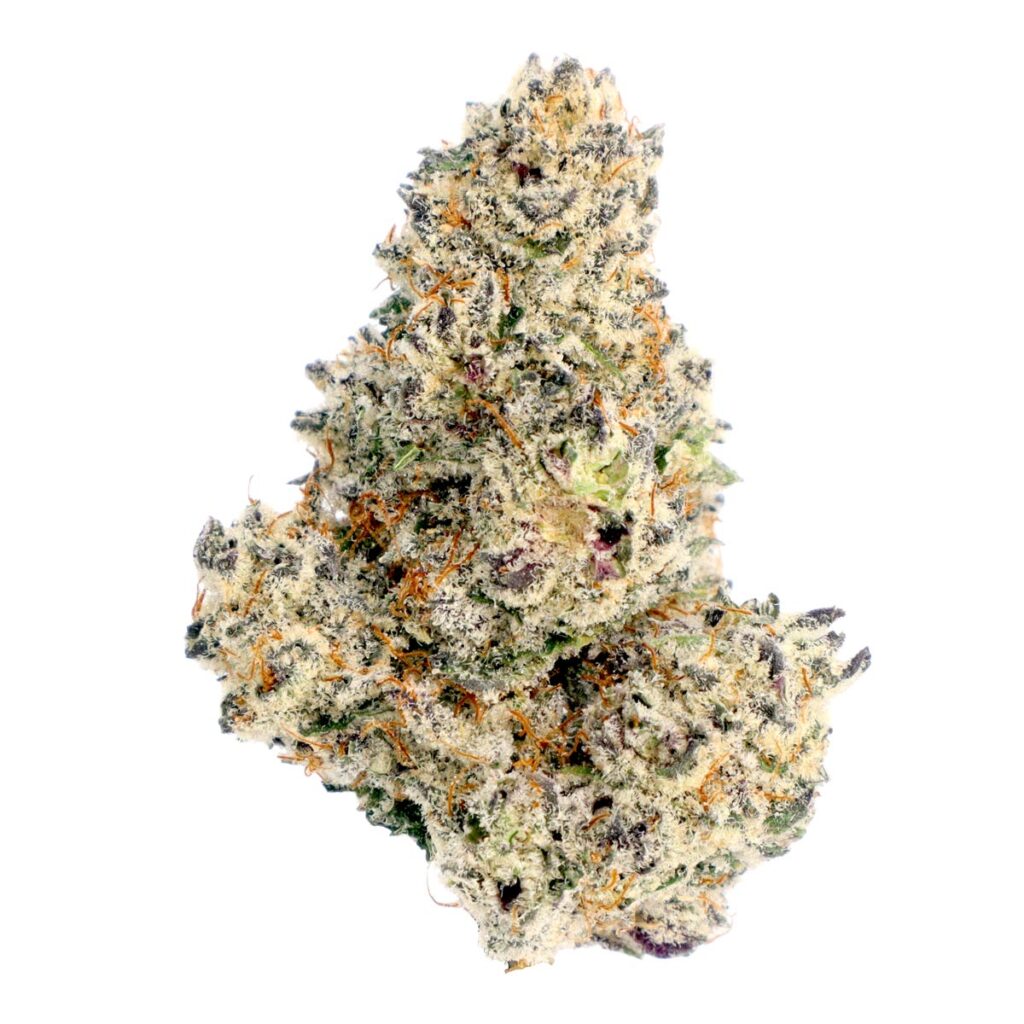 white boy cookies thca strain