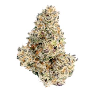 white boy cookies thca strain