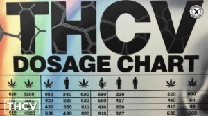 THCV Dosage Guide