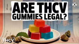 are thcv gummies legal