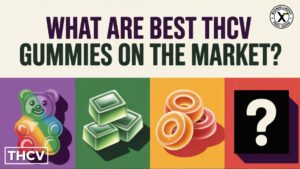 best thcv gummies guide