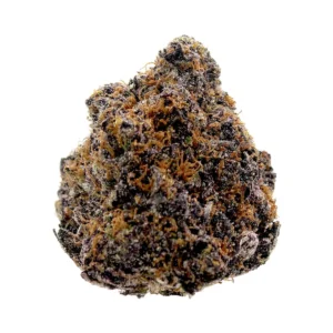 Black Cherry Runtz THCa Flower BioWellnessX