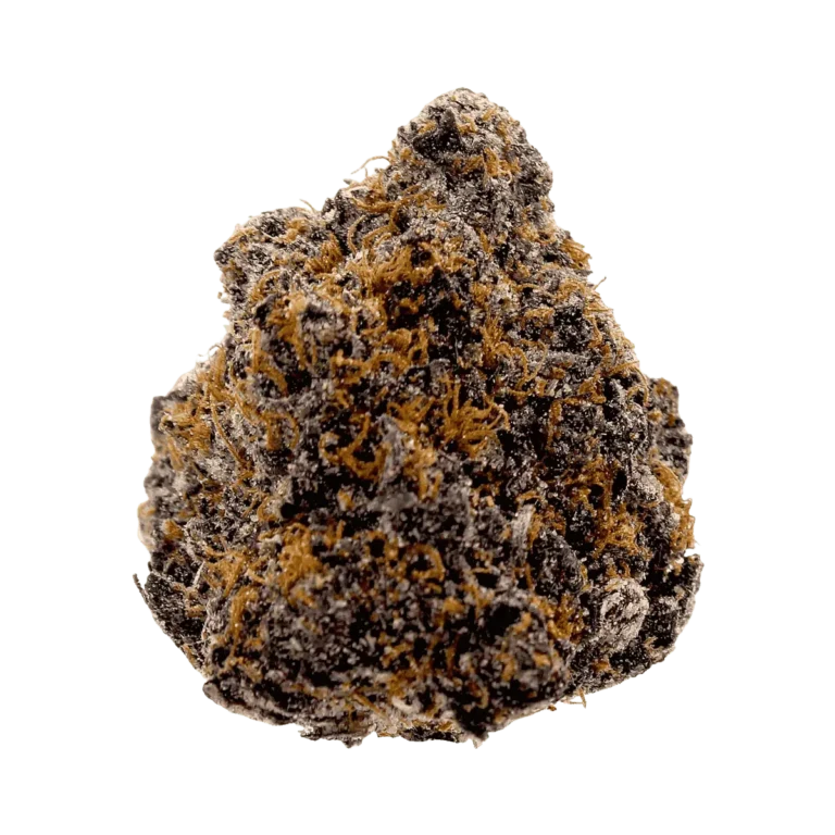 Black Cherry Runtz THCa buds BioWellnessX