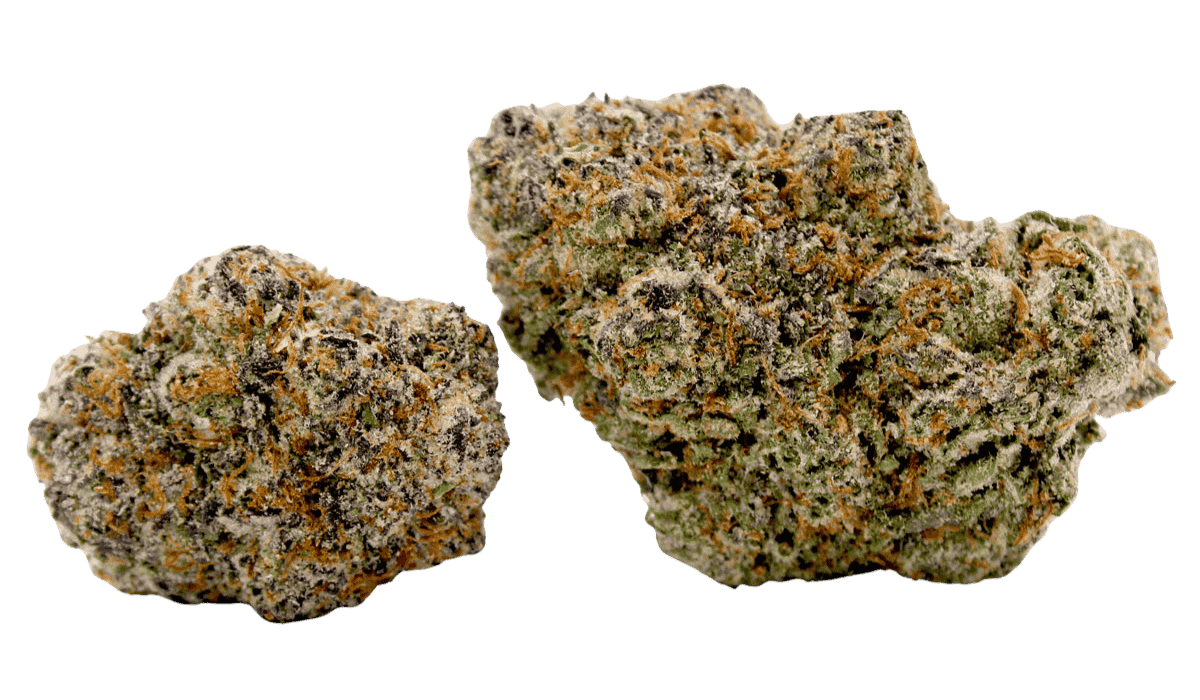 Rosswell47-twobuds-nobg-halfsize