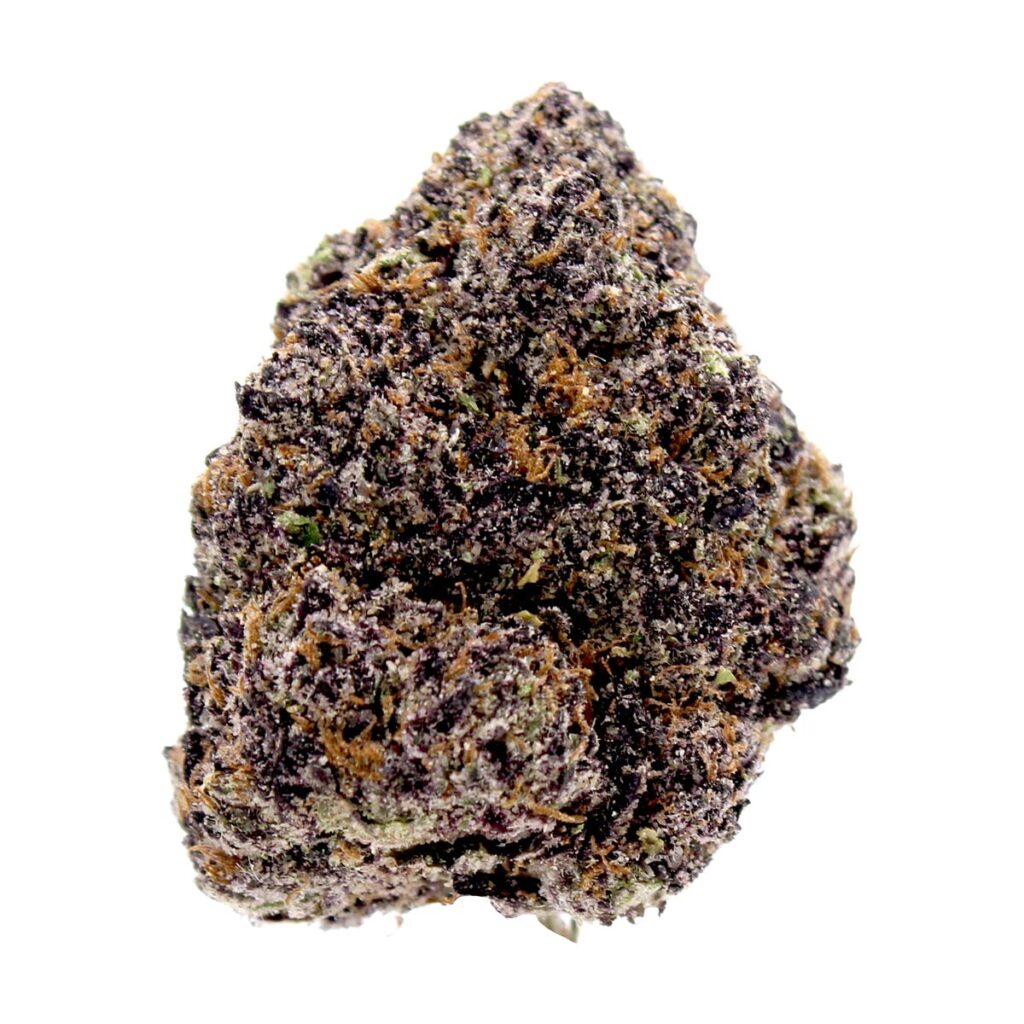 Scorpion Tears THCa Flower BioWellnessX