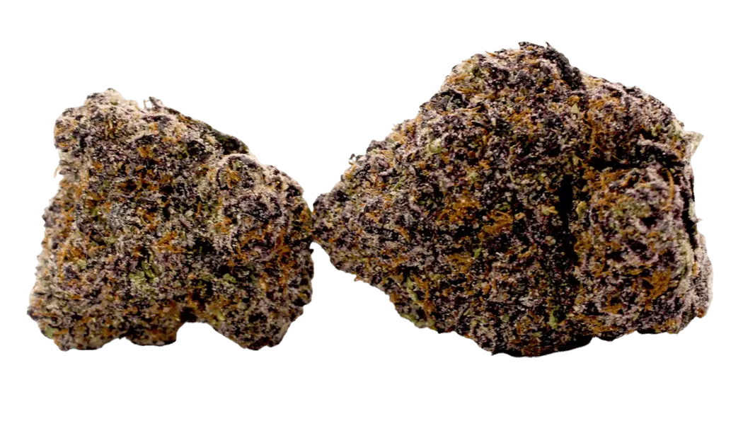 ScorpionTears-twobuds-halfsize-nobg