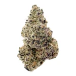 White Nerds Strain