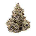 Zkittlez 41 strain
