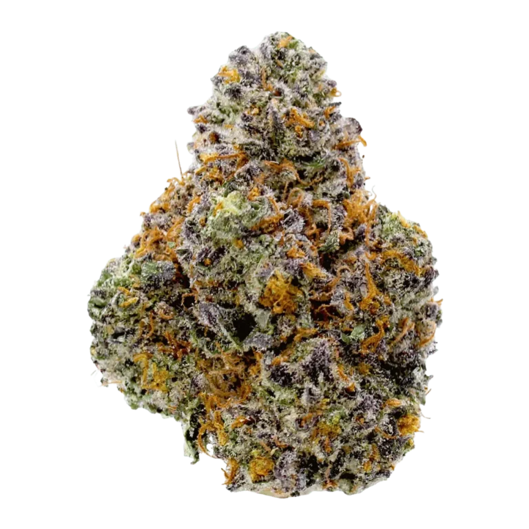 forbidden runtz cannabis strain