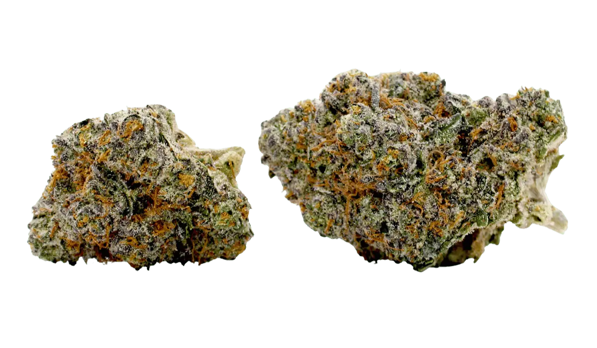 forbidden runtz flower strain