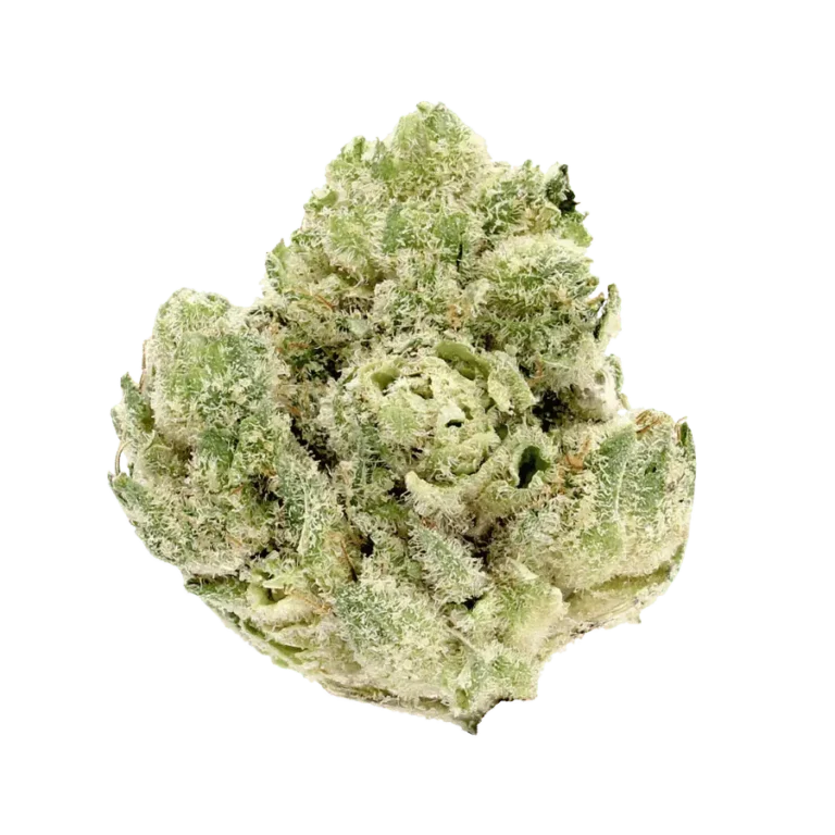 glue 4 strain