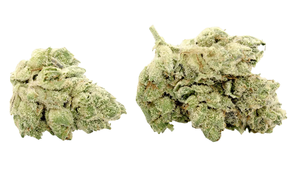 glue number four cannabis