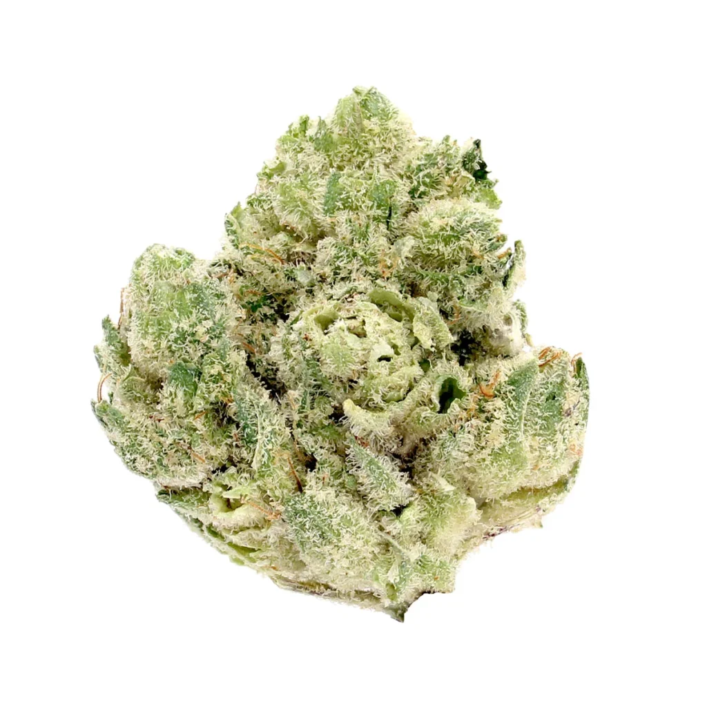 glue4 weed strain