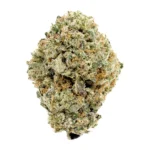 lemon cherry pie strain