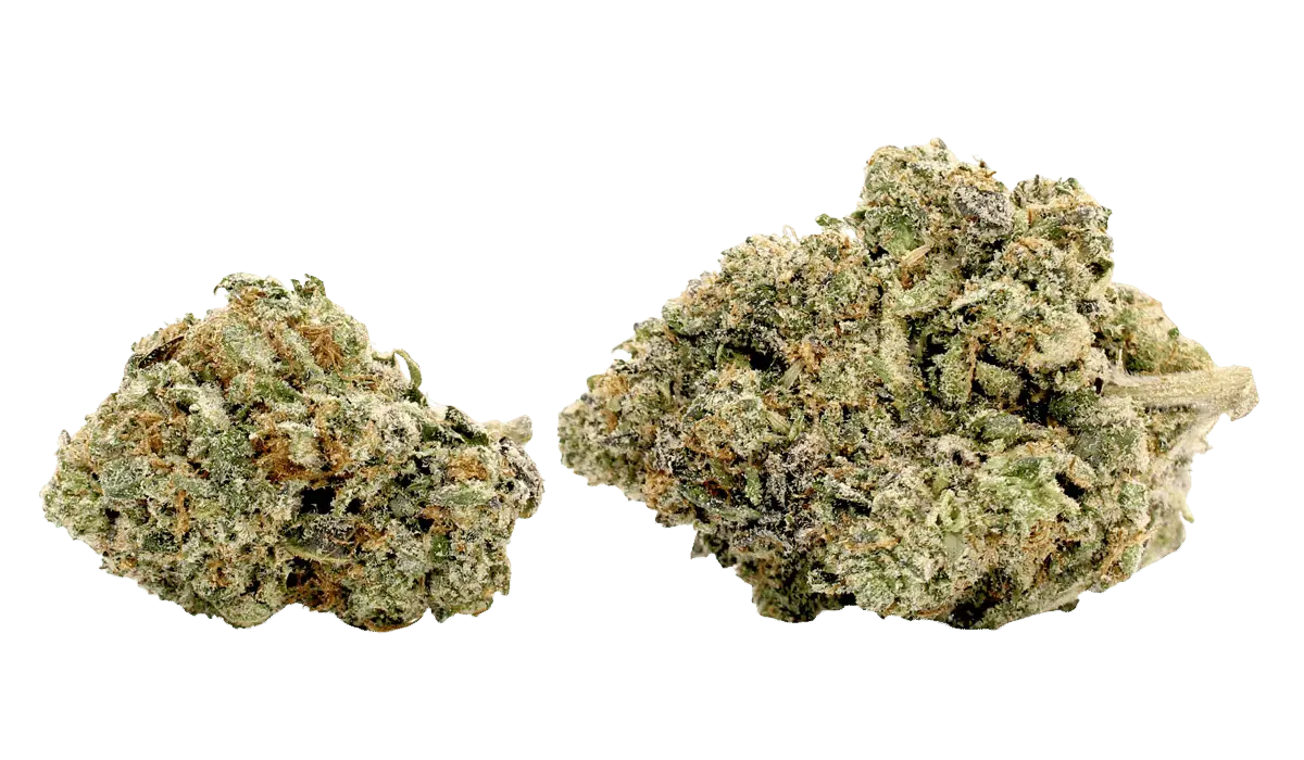 lemon cherry pie thca flower