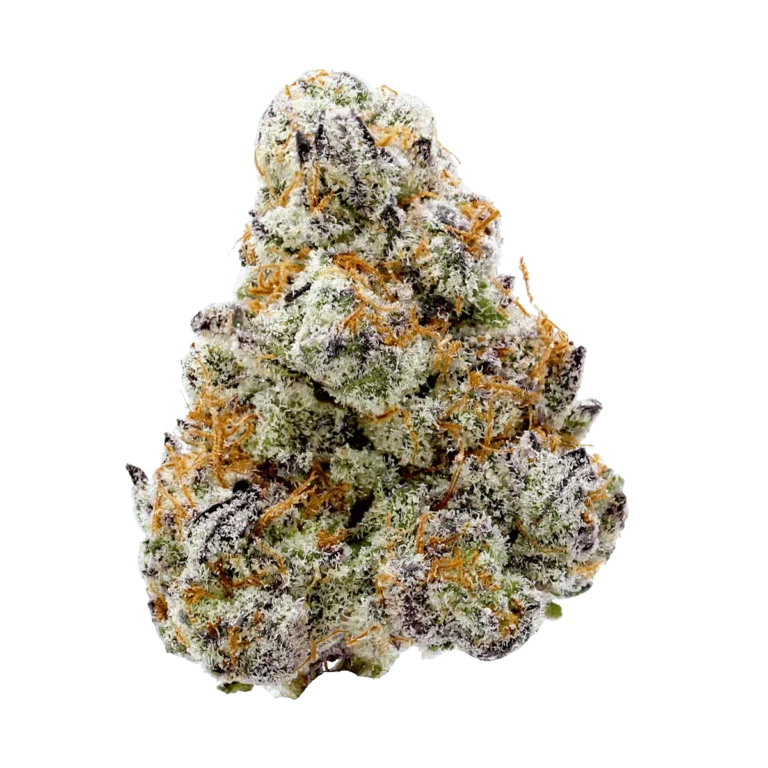 silver marker cannabis strain