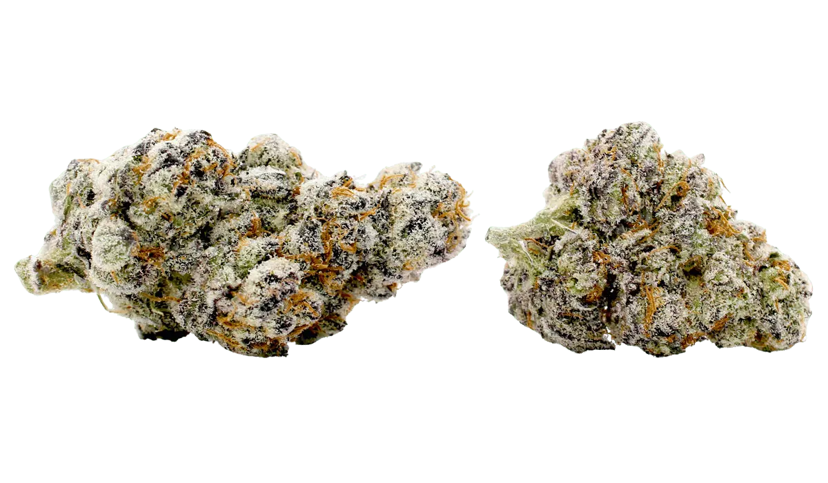 silver marker flower strain