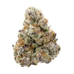 silver marker strain