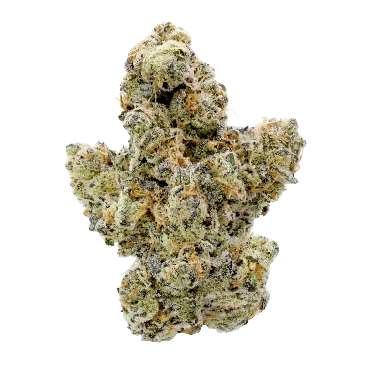 trapzilla cannagis strain