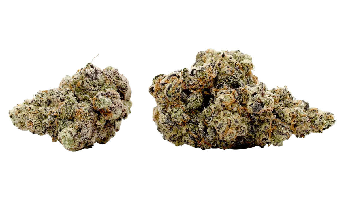 trapzilla flower strain