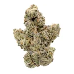trapzilla strain