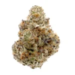 vampire slayer strain