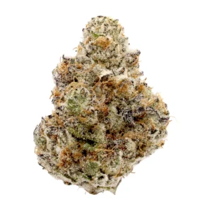 vampire slayer strain