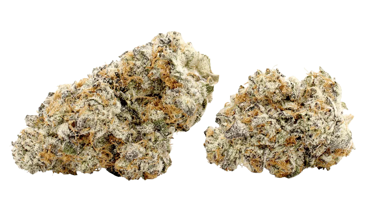 vampire slayer weed strain