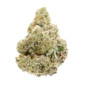Gorilla Haze Strain