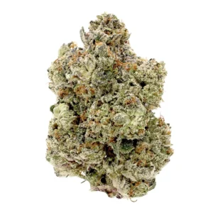 Platinum Bubba THCa Flower