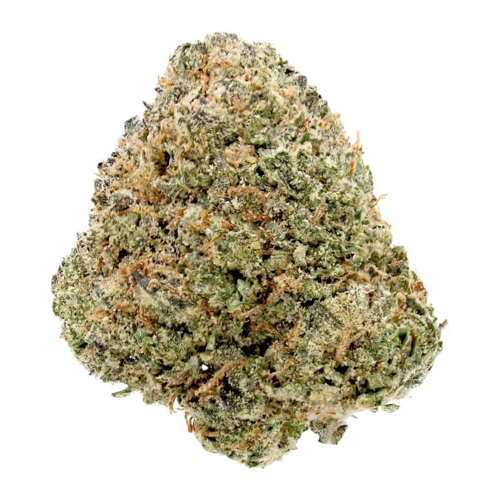 blue lobster cannabis strain
