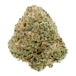 blue lobster cannabis strain