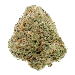 blue lobster cannabis strain