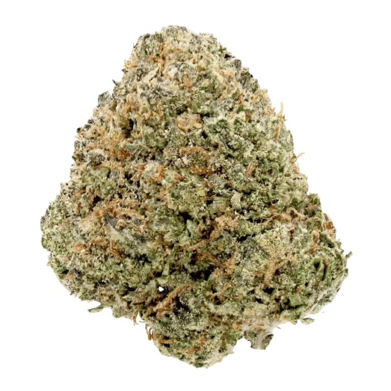 blue lobster thca strain