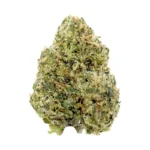 blue nerds strain