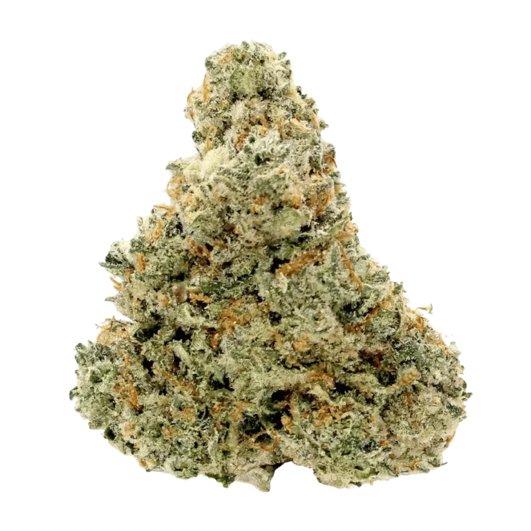 candy pave flower strain