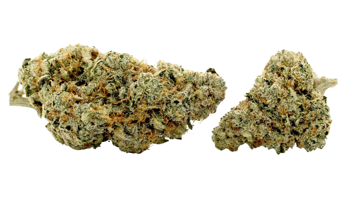 candy pave thca flower
