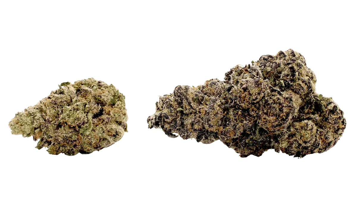 electric nerds flower strain