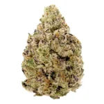 electric nerds strain