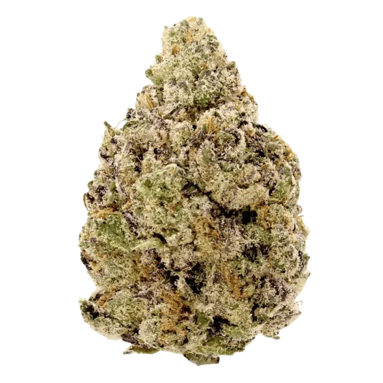 electric nerds weed strain