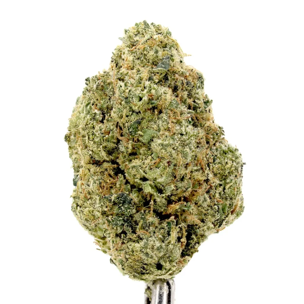 foam party cannabis strain