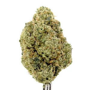 foam party cannabis strain