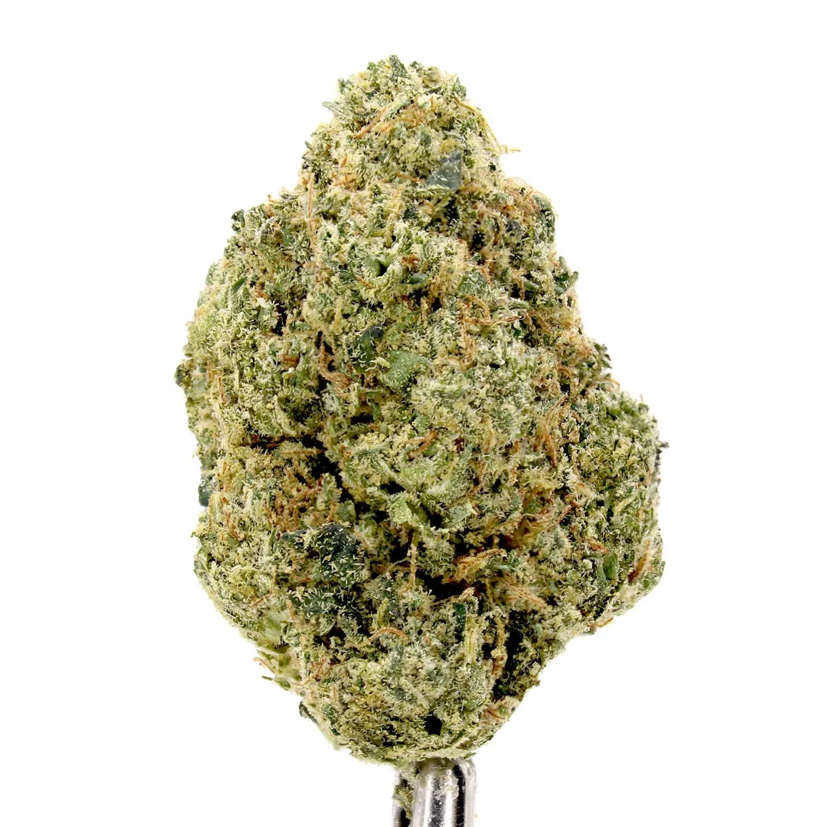 foam party cannabis strain