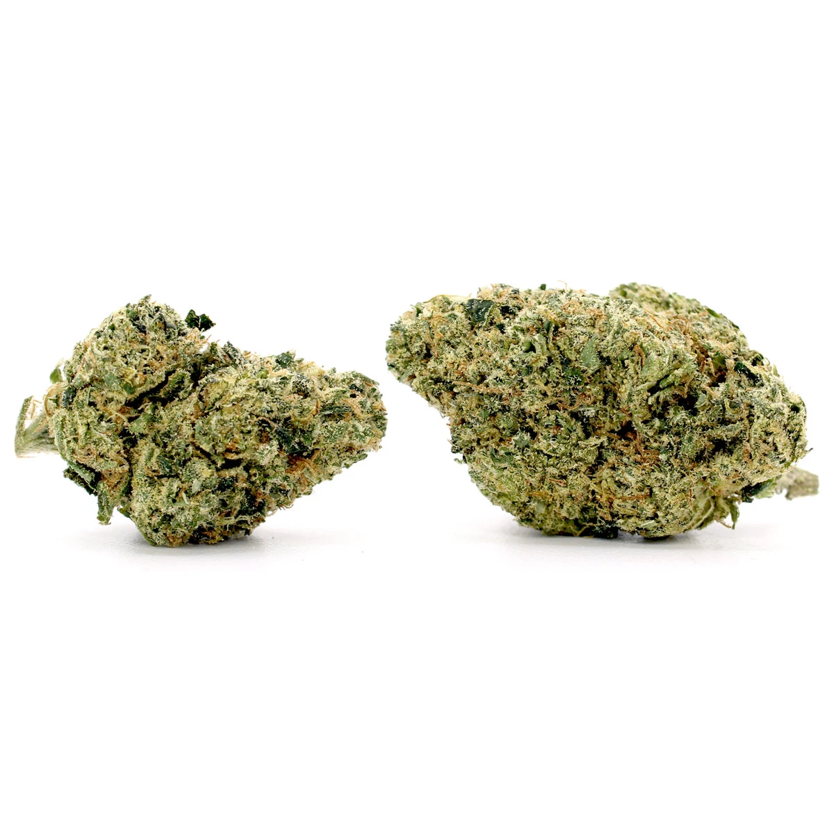 foam party flower strain