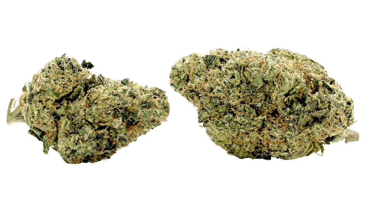 foam party strain