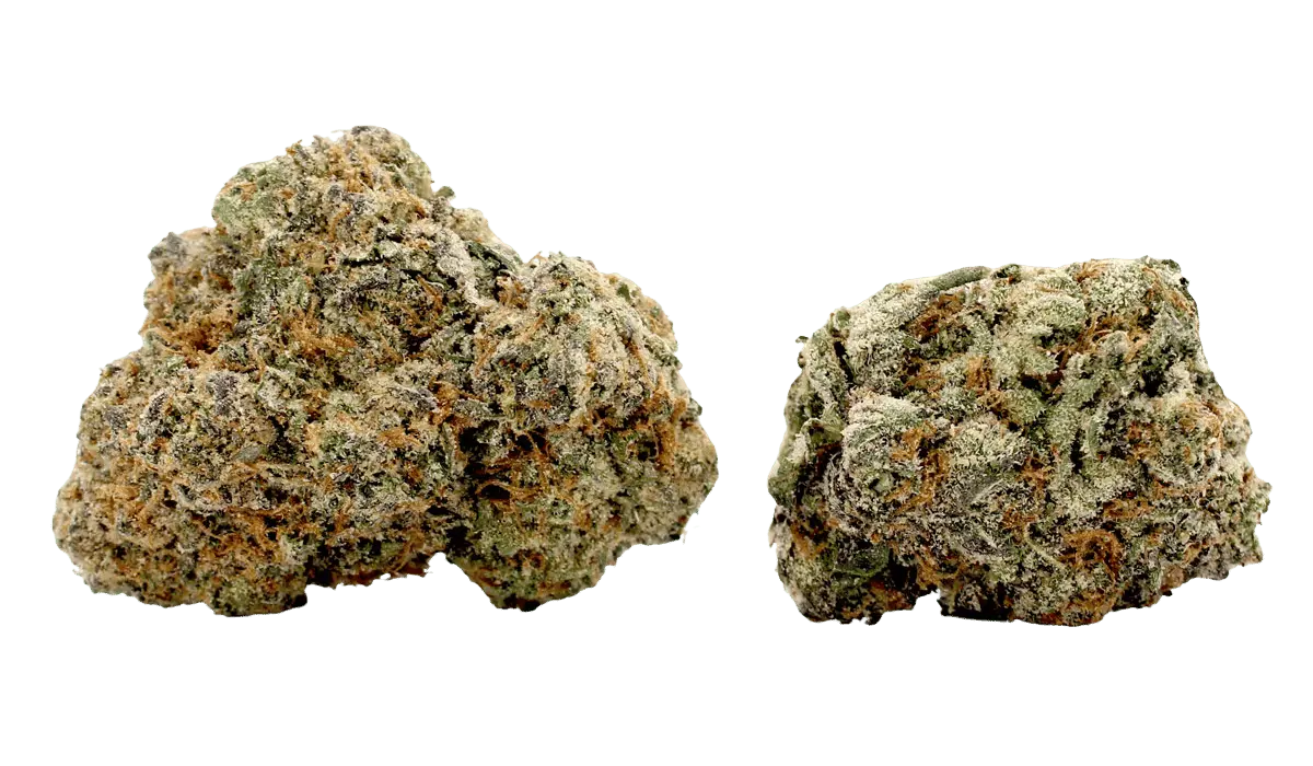 gumbo flower strain